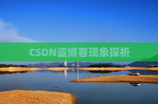 CSDN盗博客现象探析 CSDN盗博客现象探析